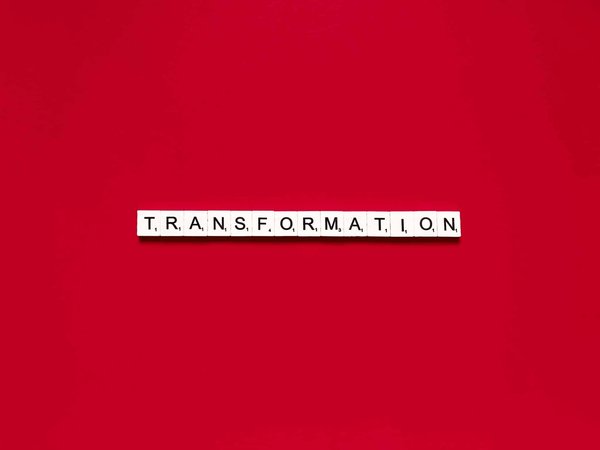 De quelle manière les plantes artificielles transforment-elles la décoration ?