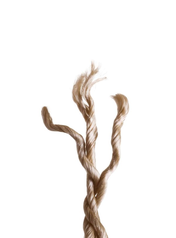 Les bienfaits des plantes d'ombre : une oasis de fraîcheur dans votre jardin