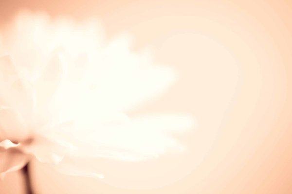 Comment est la vie des rentiers : Les rentes ennuyeuses et l'ennui de tous les temps