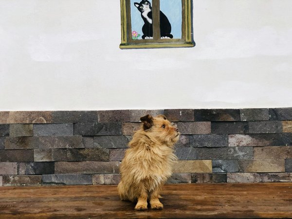 Maîtrisez tableau en 5 étapes clés