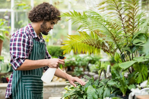 Tarif d'un jardinier : demandez un devis pour tout savoir