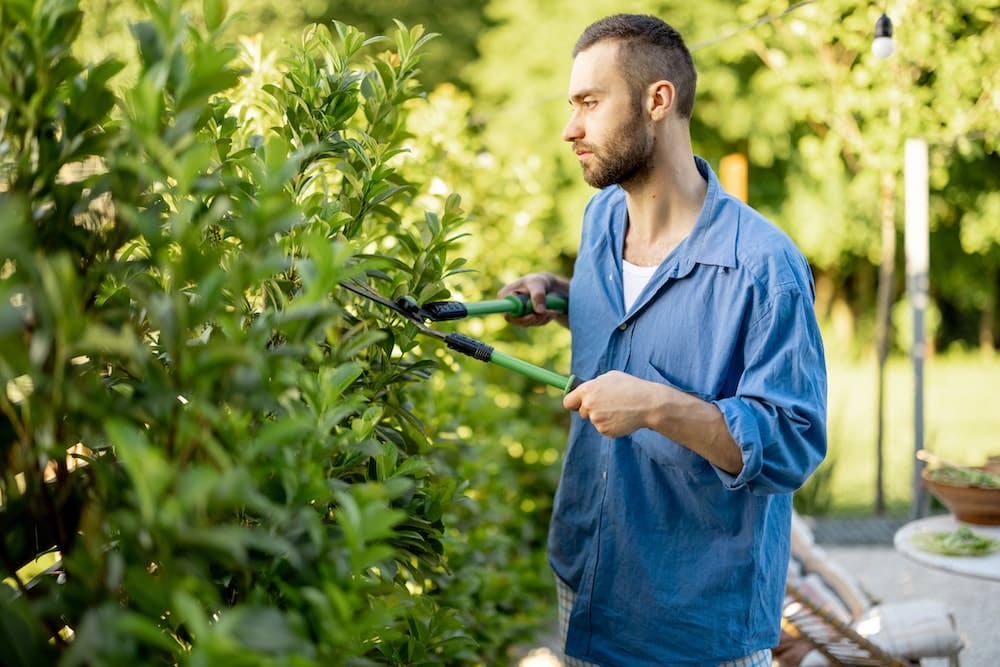 Quelles sont les cinq astuces pour les principaux travaux du jardin ?